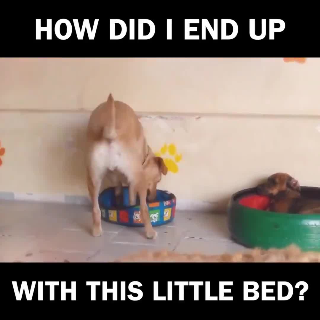 Làm sao có thể ngủ với chỗ nằm chật hẹp đây