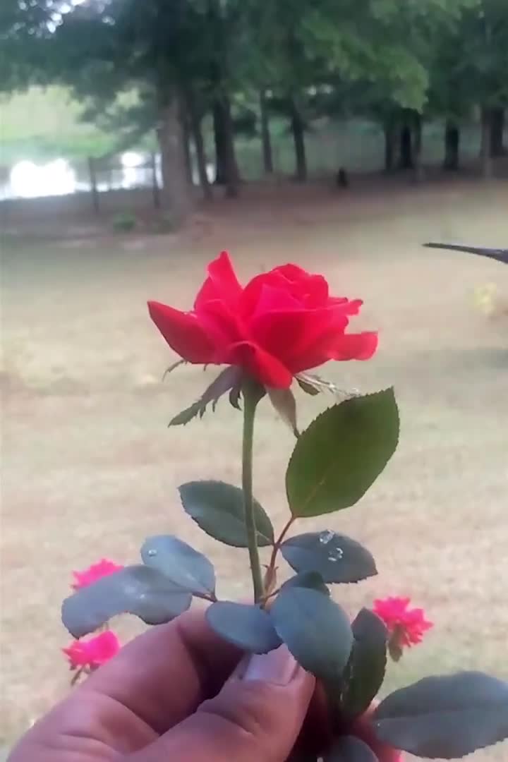 Làm việc này vào buổi sáng thì thật tuyệt!