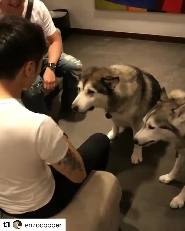 Mấy đứa nhỏ bị lừa nhìn thấy tội