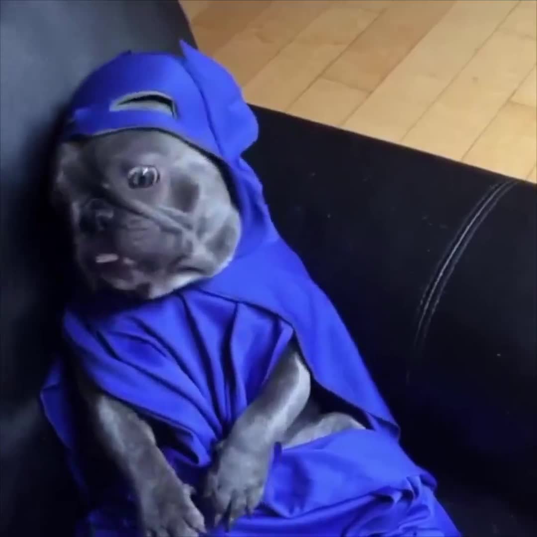 Em là Batman
