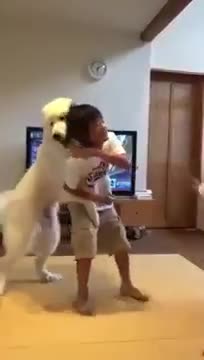 Chú chó can ngăn 2 anh em đánh nhau