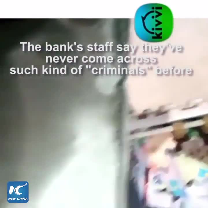 Chuột đột nhập vào ATM ở Kazakhstan, cắn nát tiền