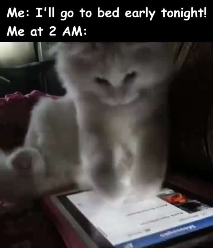 Có lẽ em cũng có Facebook!