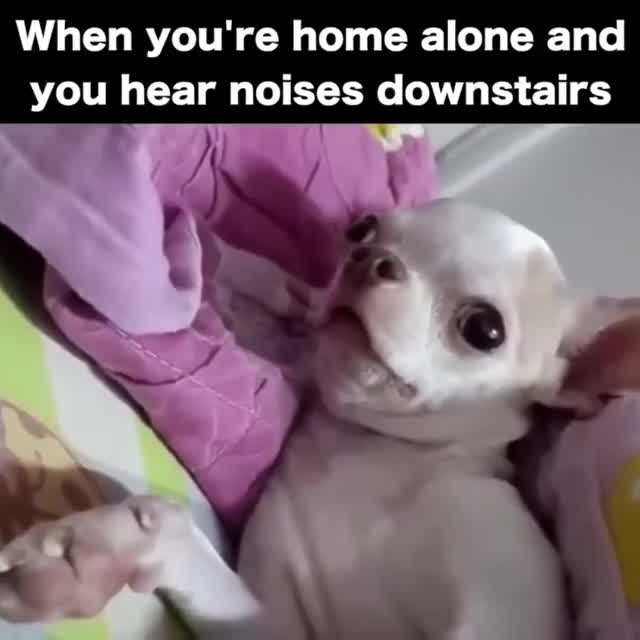 Điều gì làm em ngạc nhiên đến như vậy