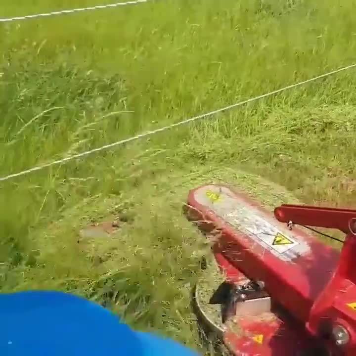 Máy cắt cỏ này thật tiện dụng