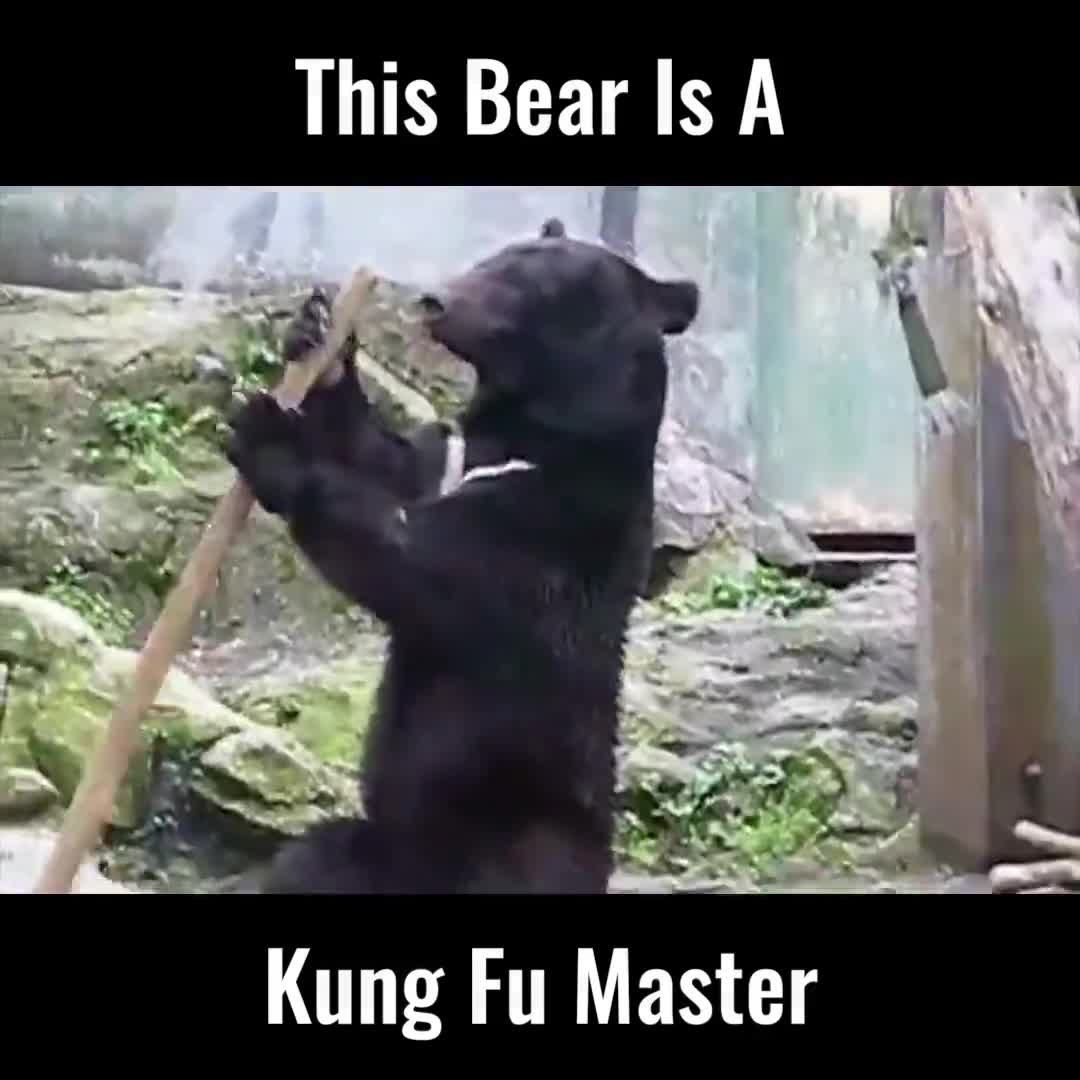 Kungfu đầy mình đấy mọi người ạ