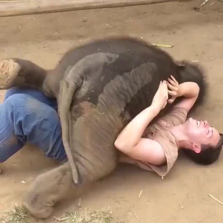 Em nó cứ tưởng mình bé bỏng