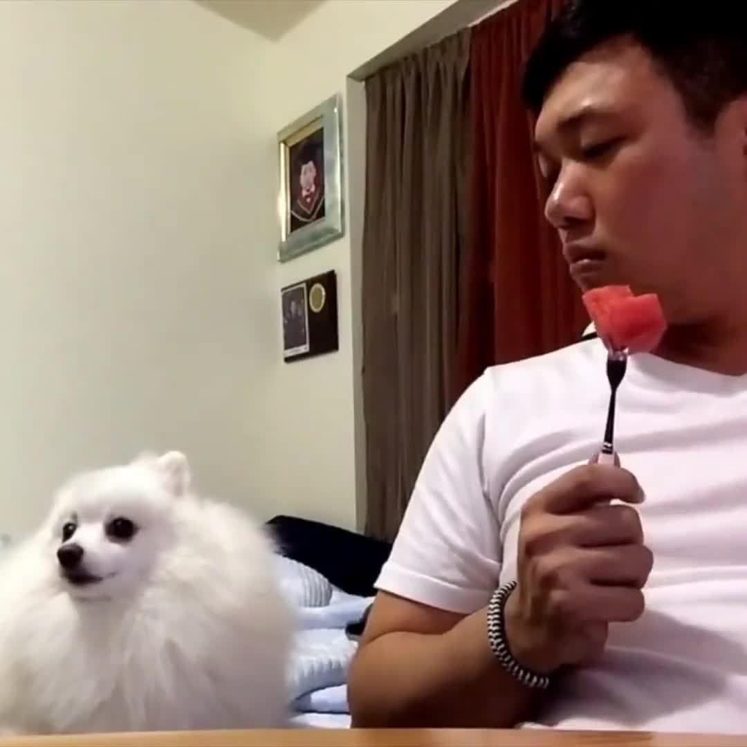 Có thể cho tôi 1 miếng không