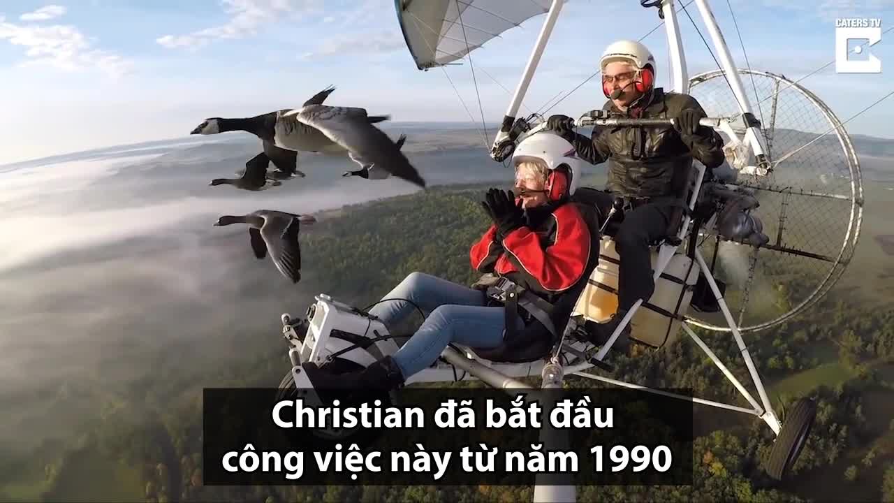 Người chuyên dẫn đường cho các loài chim di cư tránh thợ săn