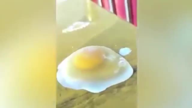 Trời lạnh giá, lòng trứng vừa vỡ đã đóng băng trong vài giây