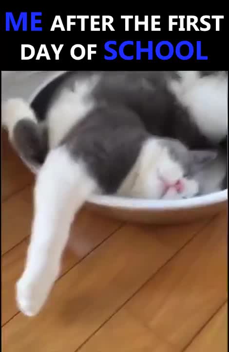 Có ai từng rơi vào hoàn cảnh này