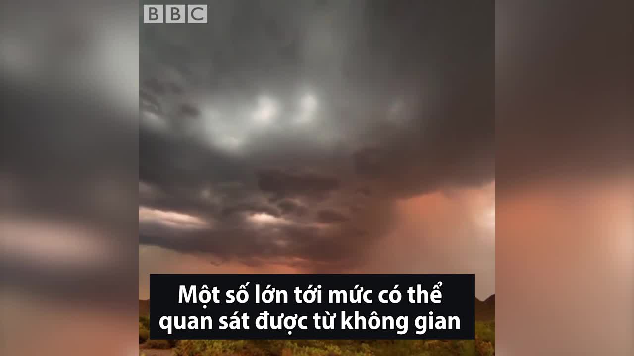 Tầm quan trọng của bão bụi đối với khí hậu toàn cầu