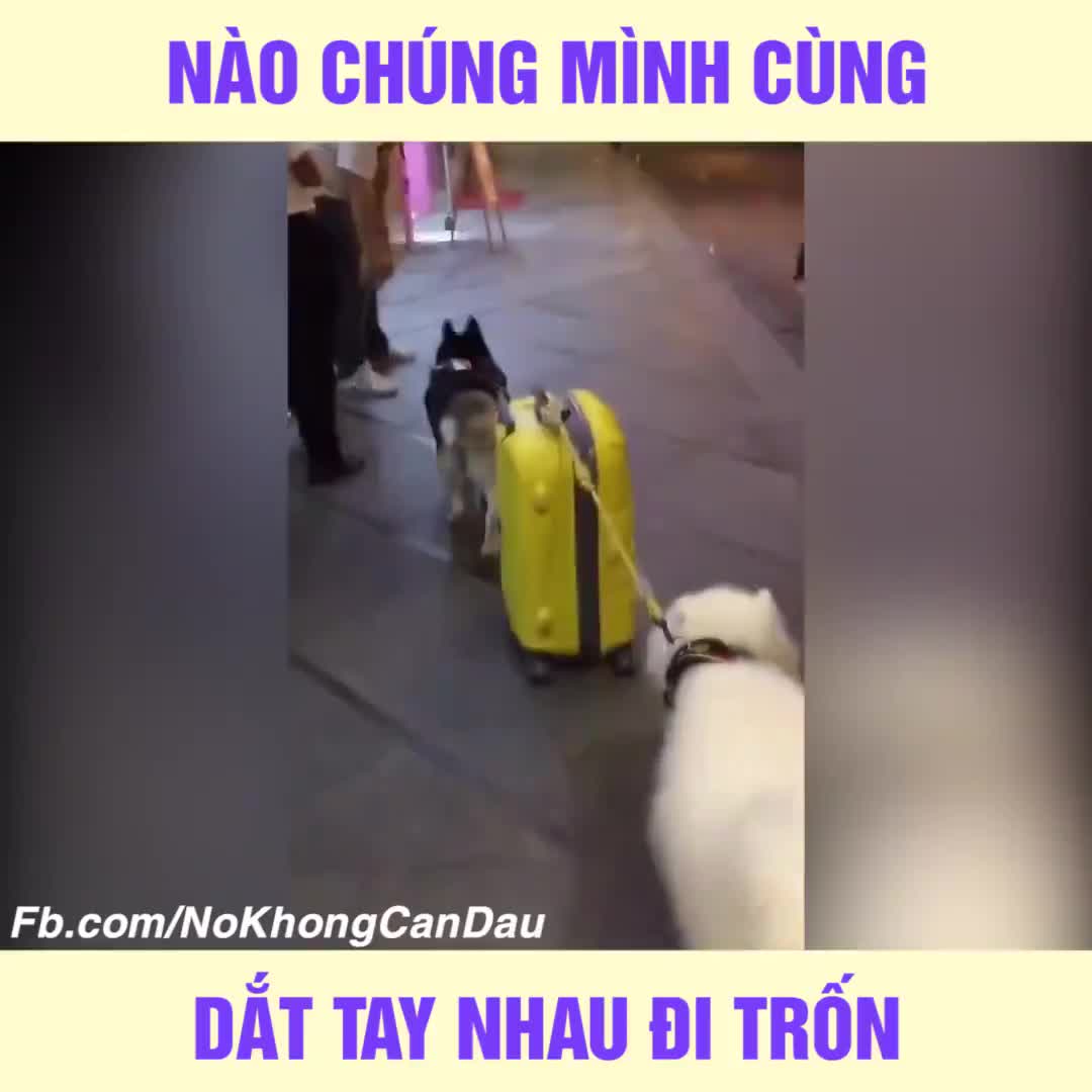 Dắt nhau đi trốn