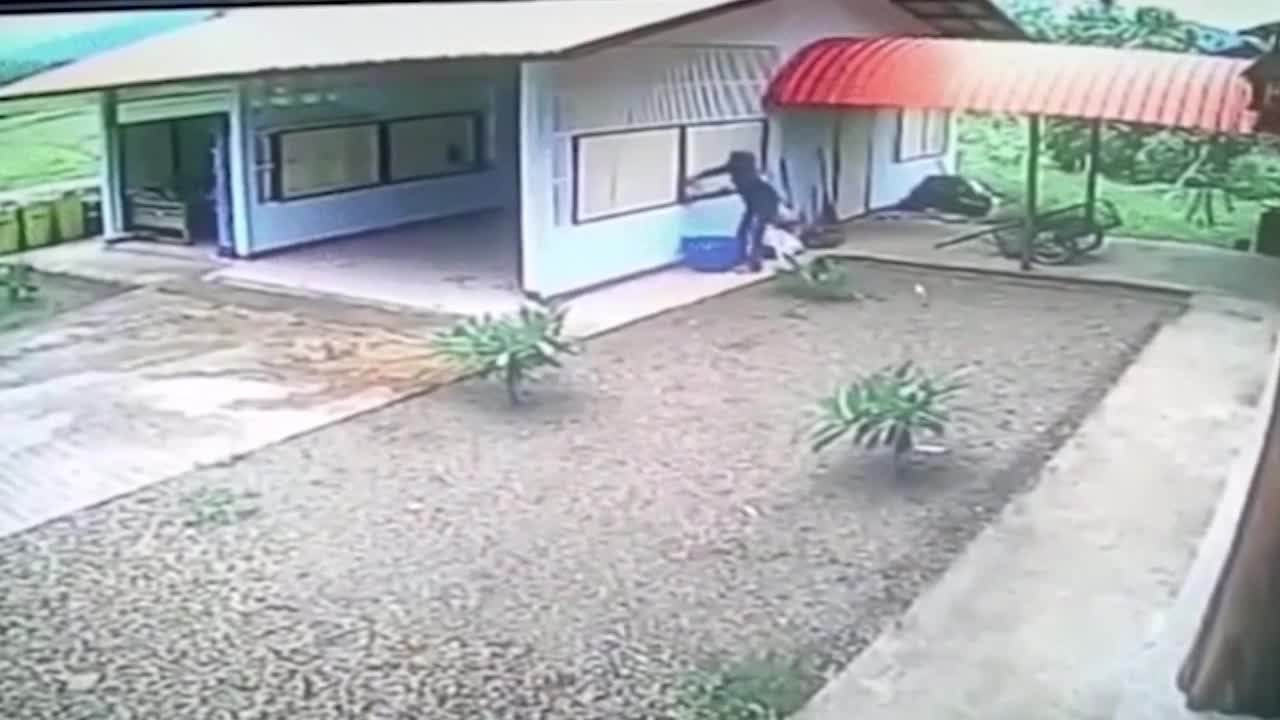 Tên trộm ê chề khi đột nhập vào gara qua cửa sổ