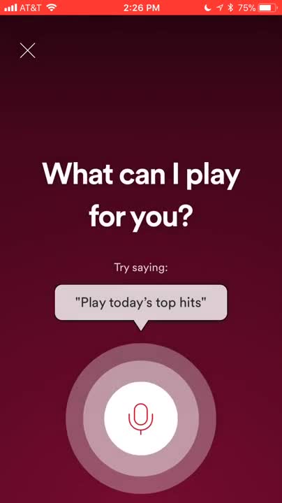 Spotify Voice Control Demo