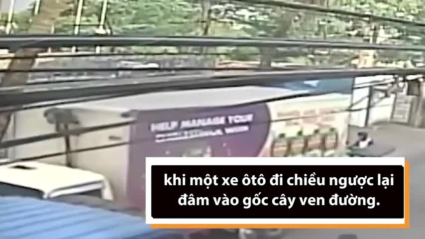 Người phụ nữ Philippines bất tỉnh vì bị cây đè trên phố