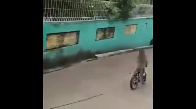 Tránh ra cho Đại Thánh đi nào