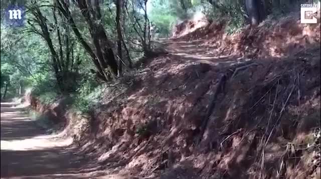 Bé trai 4 tuổi trình diễn mô tô như siêu sao