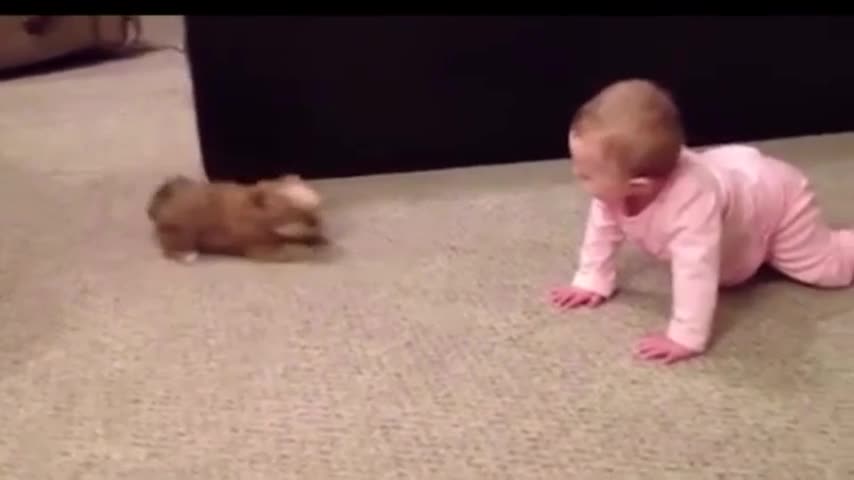 Em bé hồn nhiên 'cãi nhau' với cún cưng