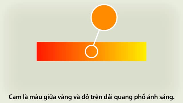 Quả cam đặt tên theo màu cam hay ngược lại?