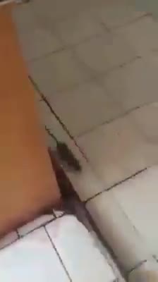 Giá trị bị đảo lộn
