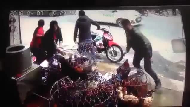Hai thanh niên phi thân qua chuồng gà, thoát nạn trong gang tấc