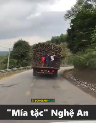 Mía tặc còn hãi hơn cảnh trong phim hành động