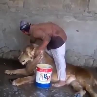 Việc nhẹ lương cao đây mọi người nhé!!!
