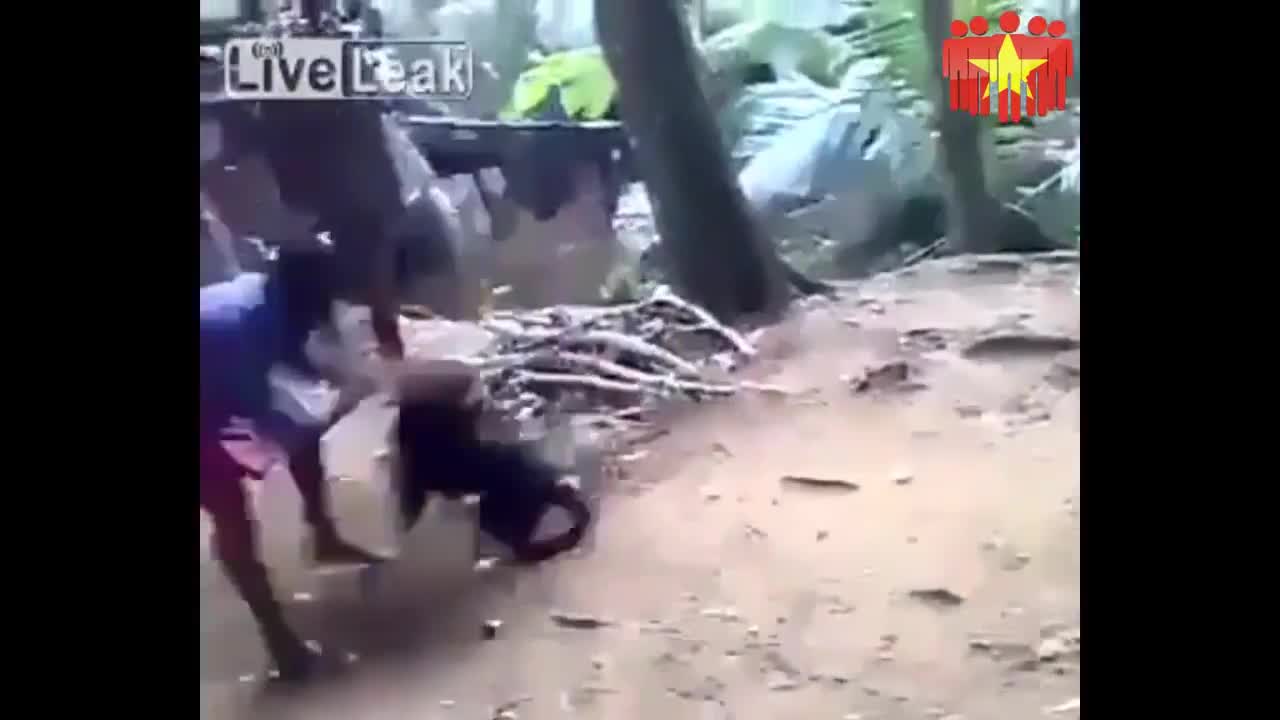 Tổng hợp những pha trêu chó và cái kết