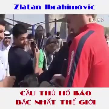 Ibrahimovic Một trong những cầu thủ "hổ báo" bậc nhất làng túc cầu thế giớ