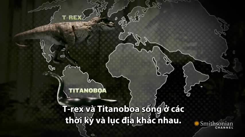 Mãng xà nặng hơn một tấn tử chiến với khủng long bạo chúa