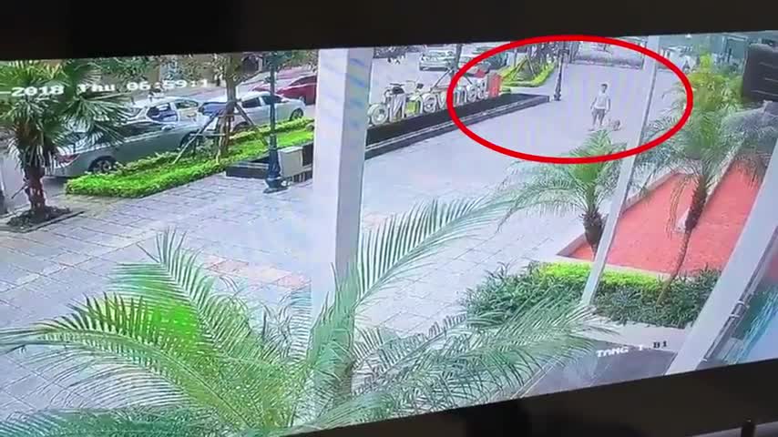 Cẩu tặc kéo lê người đàn ông hàng chục mét để cướp chó cưng