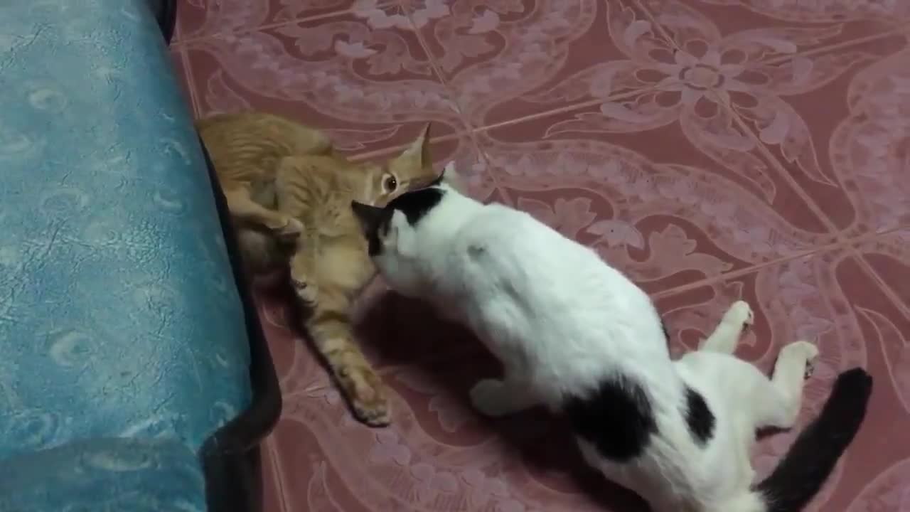 Thanh niên tàn nhưng không phế