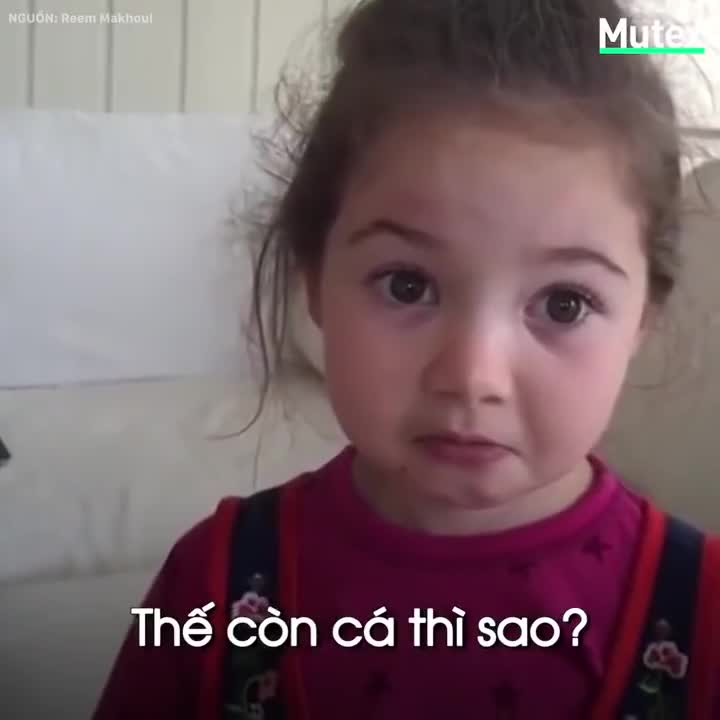 Cô bé đáng yêu không muốn ăn thịt động vật 