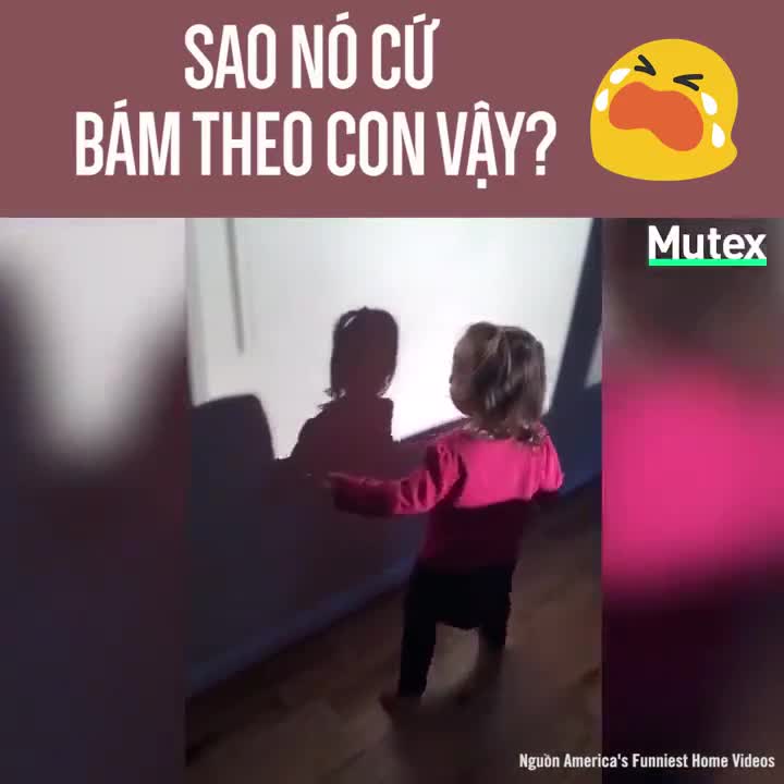 Sao nó cứ bám theo con vậy