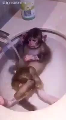 Chỉ là tắm thôi có cần sang chảnh vậy không!