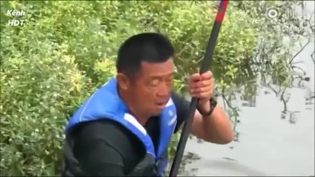 Cá chép khổng lồ cắn câu, kéo ngư dân TQ xuống hồ 6 lần