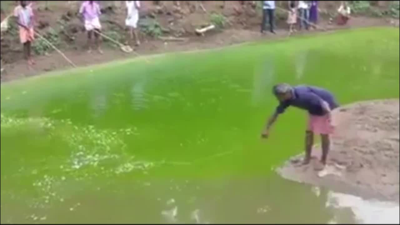 'Sát thủ' quăng chài khiến các cần thủ chào thua