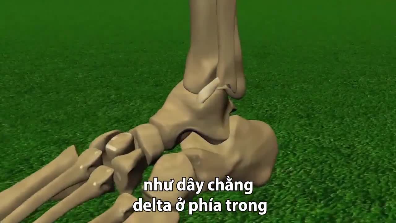 Chấn thương hay gặp nhất trong bóng đá