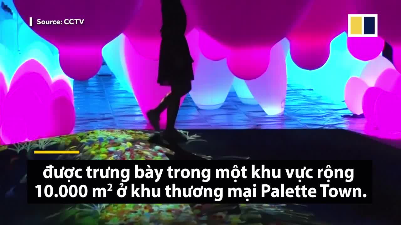 Bảo tàng nghệ thuật kỹ thuật số đầu tiên trên thế giới ở Nhật Bản