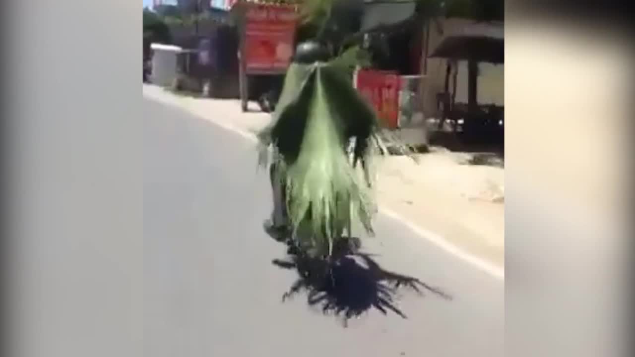 'Siêu nhân' phiên bản áo chống nắng