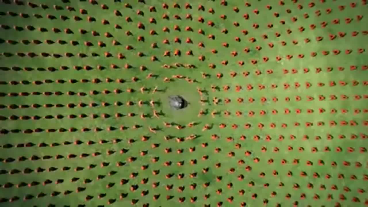 Palm Pre Flow Commercial (HDTV)