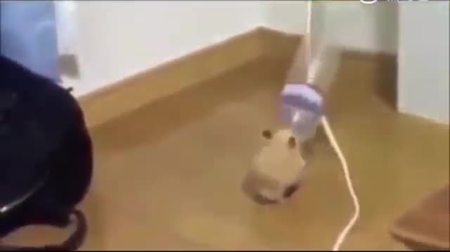 Cuối tuần tưng bừng lên nào các thím!