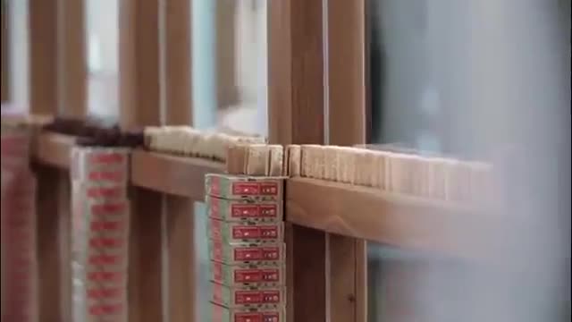 Hiệu ứng domino tuyệt đẹp từ 5.000 chiếc bánh quy