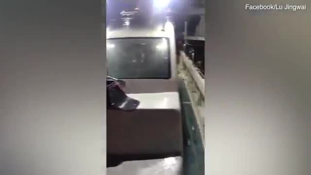 Hàng ngàn con cá nhảy lên thuyền của ngư dân lánh nạn vì bị cá lớn đuổi bắt