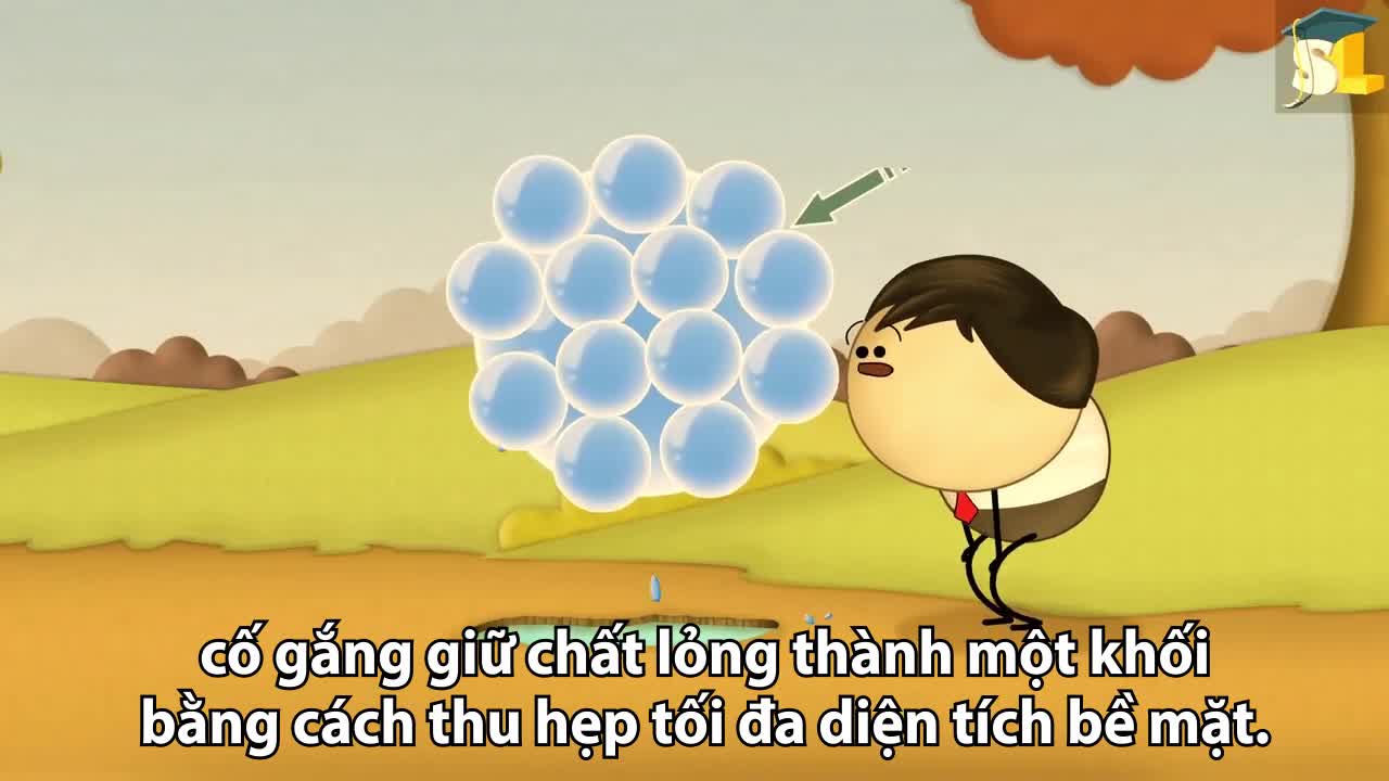 Vì sao giọt nước có hình cầu