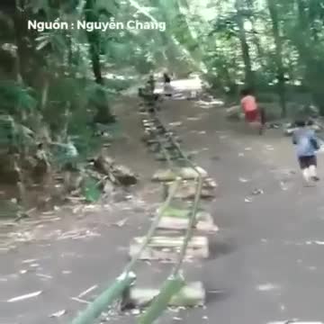Độc đáo trẻ em vùng quê tạo máng trượt bằng thân cây