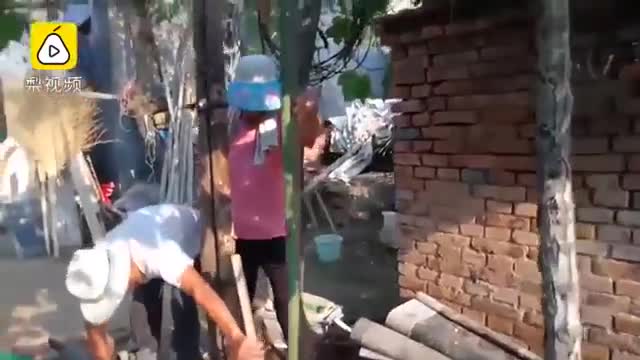 Quả mướp dài chưa từng có 2,57m