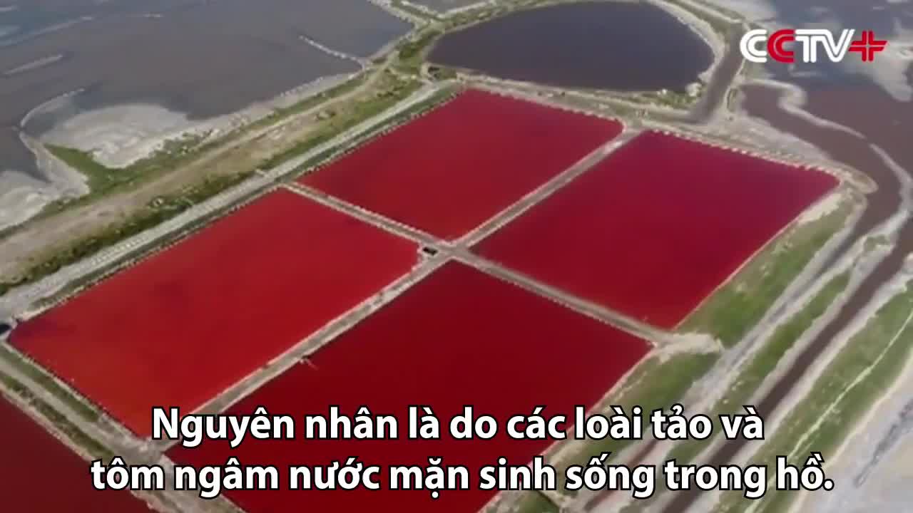 Hồ muối cổ nghìn năm chuyển 7 sắc cầu vồng nhờ ánh nắng