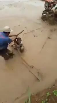 “Tai nạn nghề nghiệp” khi cày ruộng